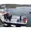 Used Yacht Bullet 38