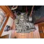 Used sailboat 30