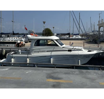 Bateau à moteurs d'occasion Starfisher 840