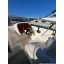 Used Yacht Turchese 24